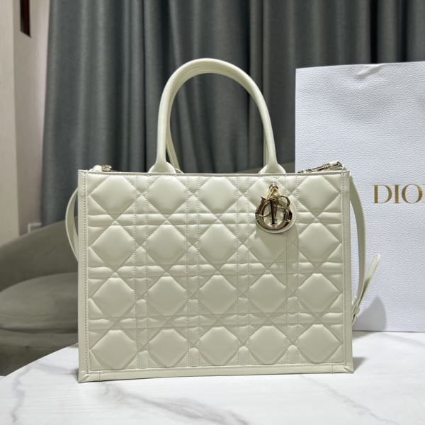 Christian Dior Shopping Bags - Click Image to Close